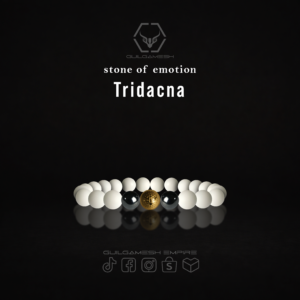 Tridacna